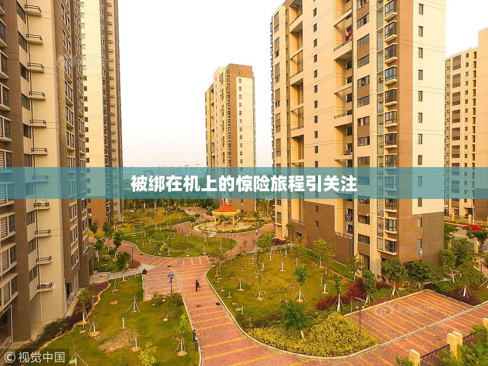 被绑在机上的惊险旅程引关注