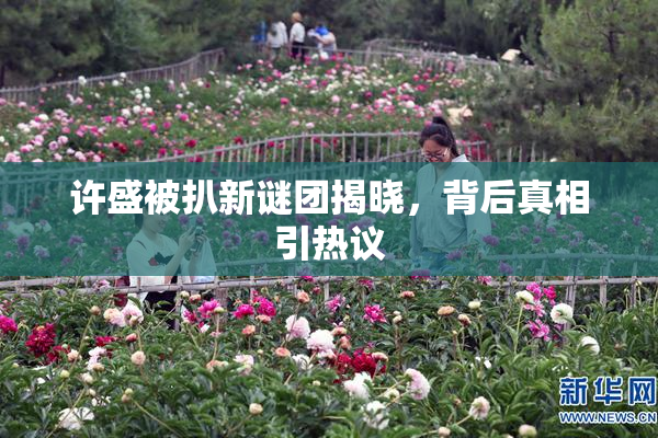 许盛被扒新谜团揭晓，背后真相引热议