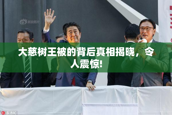 大慈树王被的背后真相揭晓，令人震惊!