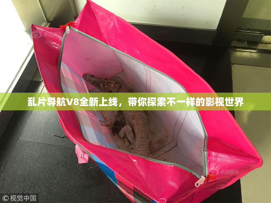 乱片导航V8全新上线，带你探索不一样的影视世界