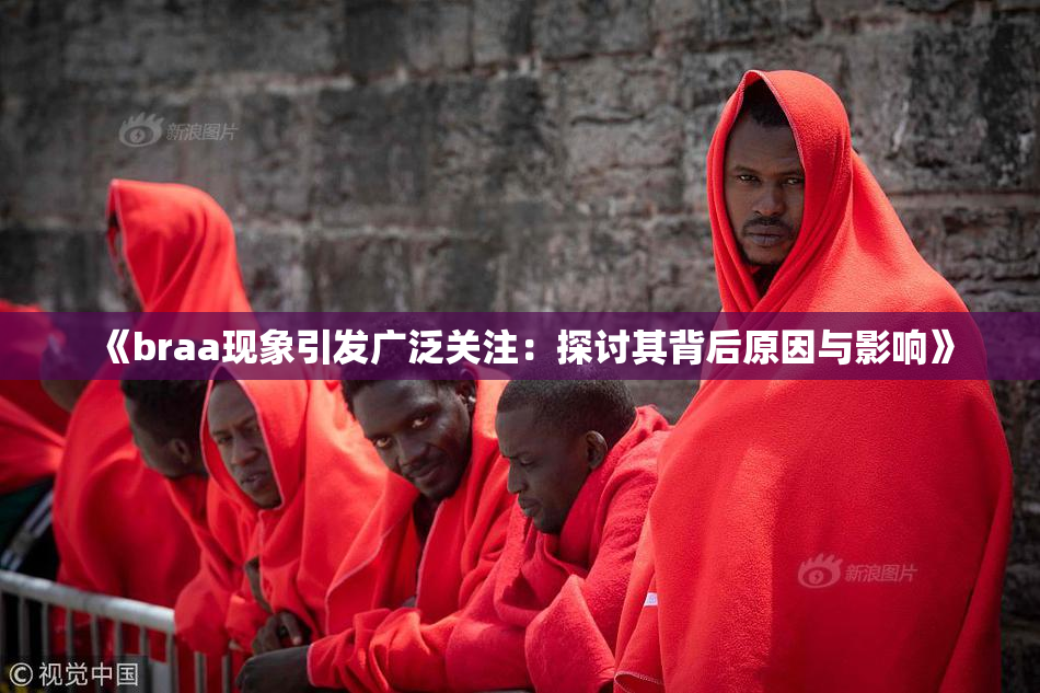 《braa现象引发广泛关注：探讨其背后原因与影响》