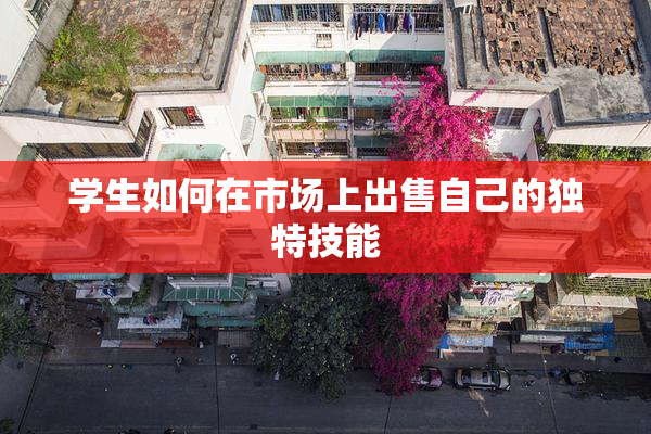 学生如何在市场上出售自己的独特技能