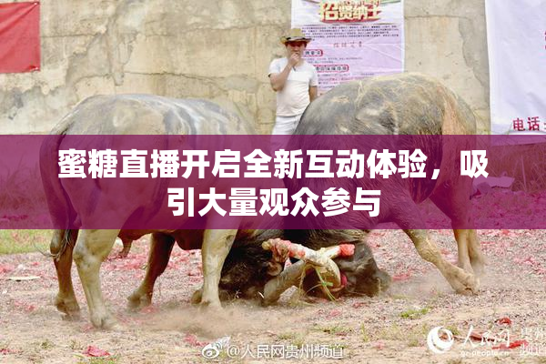 蜜糖直播开启全新互动体验，吸引大量观众参与