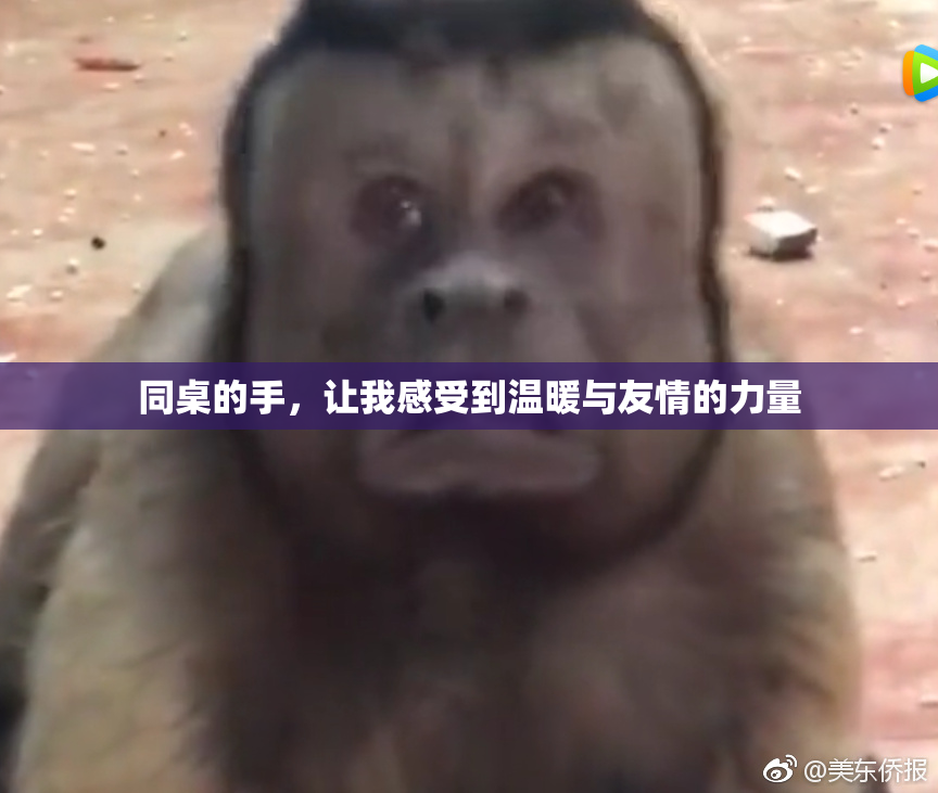 同桌的手，让我感受到温暖与友情的力量