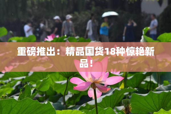 重磅推出：精品国货18种惊艳新品！
