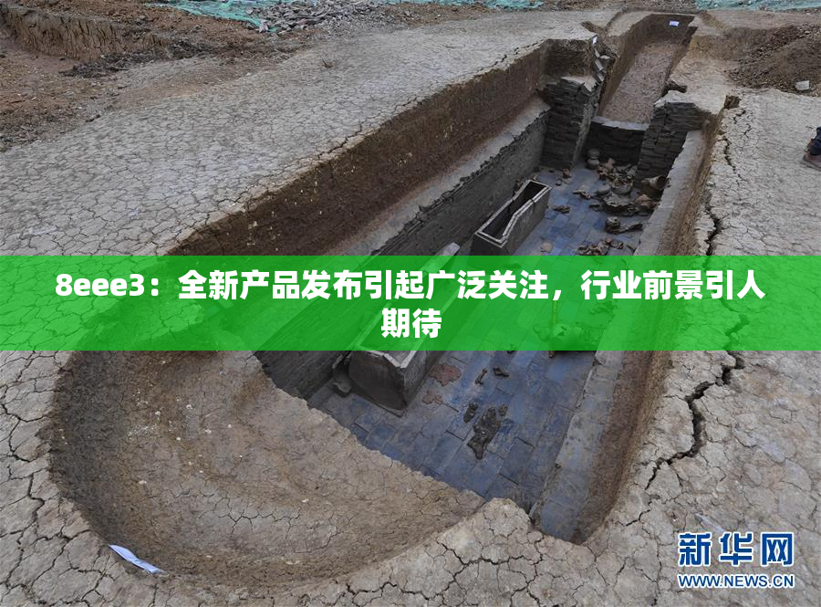 8eee3：全新产品发布引起广泛关注，行业前景引人期待