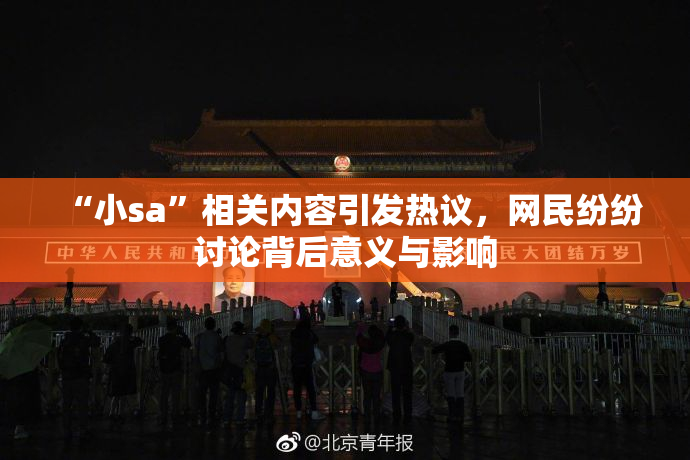 “小sa”相关内容引发热议，网民纷纷讨论背后意义与影响