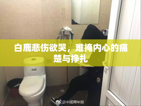 白鹿悲伤欲哭，难掩内心的痛楚与挣扎