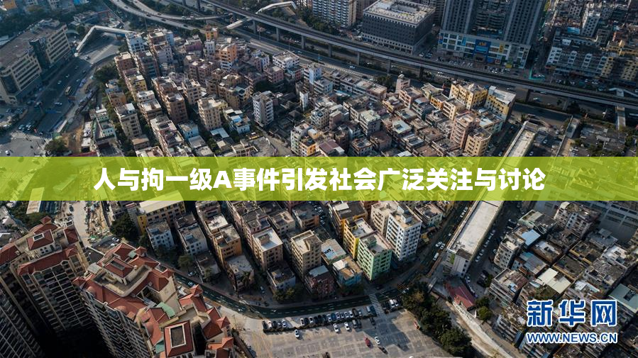 人与拘一级A事件引发社会广泛关注与讨论