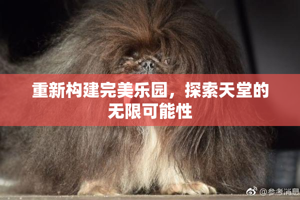 重新构建完美乐园，探索天堂的无限可能性