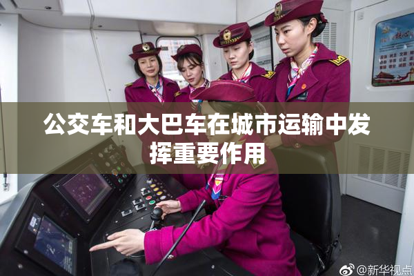 公交车和大巴车在城市运输中发挥重要作用
