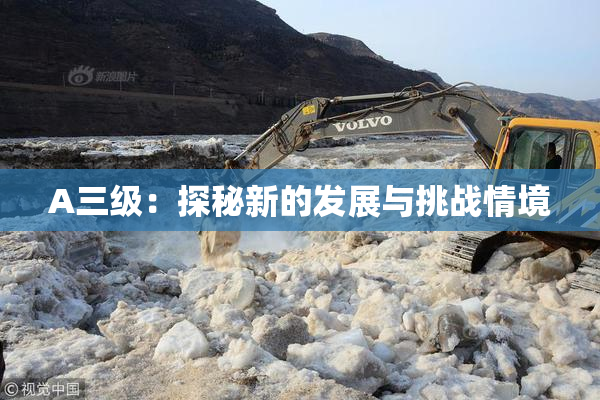 A三级：探秘新的发展与挑战情境