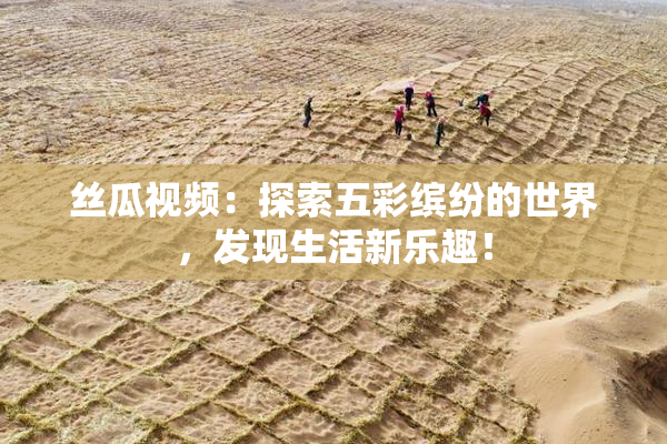 丝瓜视频：探索五彩缤纷的世界，发现生活新乐趣！
