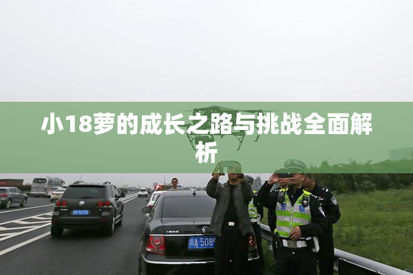 小18萝的成长之路与挑战全面解析