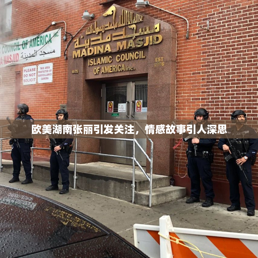 欧美湖南张丽引发关注，情感故事引人深思