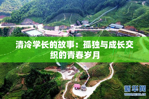 清冷学长的故事：孤独与成长交织的青春岁月