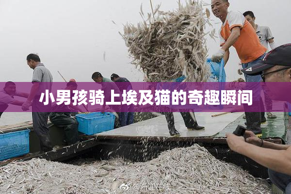 小男孩骑上埃及猫的奇趣瞬间