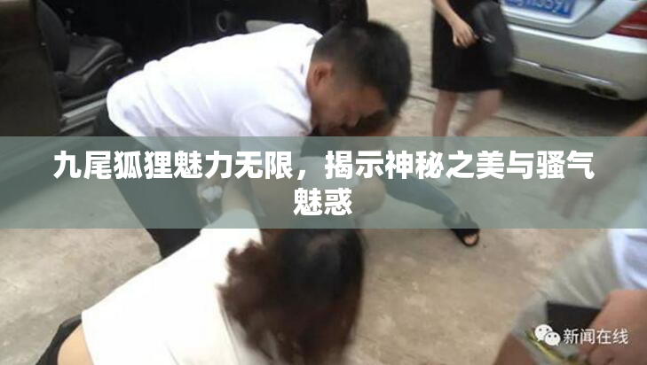 九尾狐狸魅力无限，揭示神秘之美与骚气魅惑