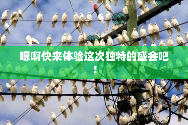 嗯啊快来体验这次独特的盛会吧！