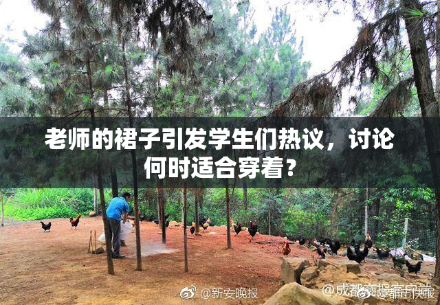 老师的裙子引发学生们热议，讨论何时适合穿着？