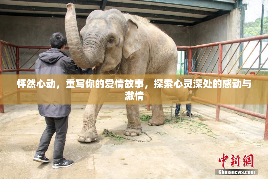 怦然心动，重写你的爱情故事，探索心灵深处的感动与激情