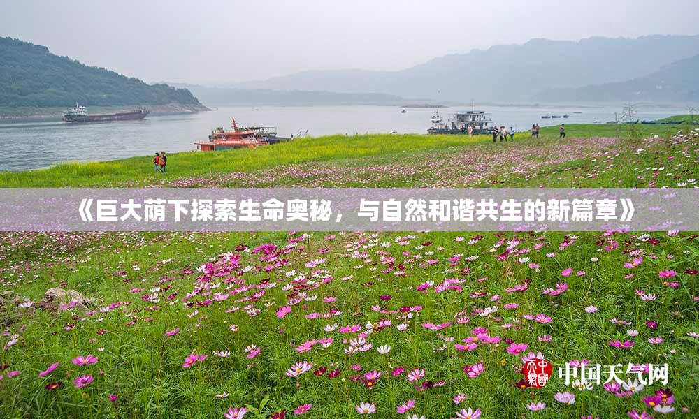 《巨大荫下探索生命奥秘，与自然和谐共生的新篇章》