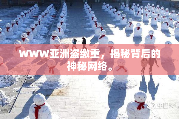 WWW亚洲盗缴重，揭秘背后的神秘网络。