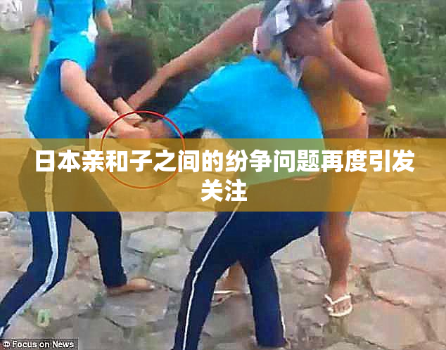 日本亲和子之间的纷争问题再度引发关注