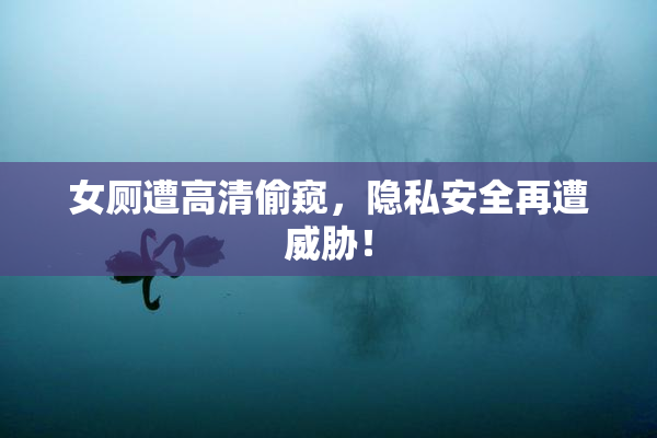 女厕遭高清偷窥，隐私安全再遭威胁！
