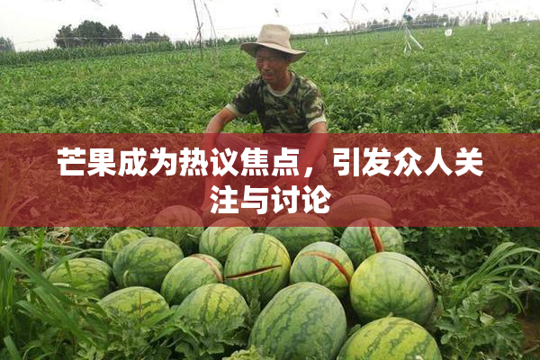 芒果成为热议焦点，引发众人关注与讨论