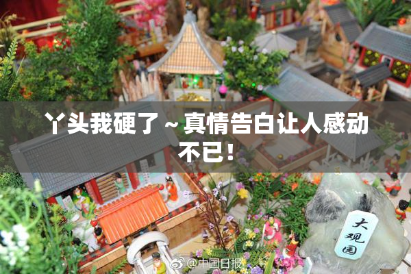 丫头我硬了～真情告白让人感动不已！