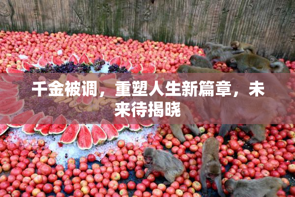 千金被调，重塑人生新篇章，未来待揭晓