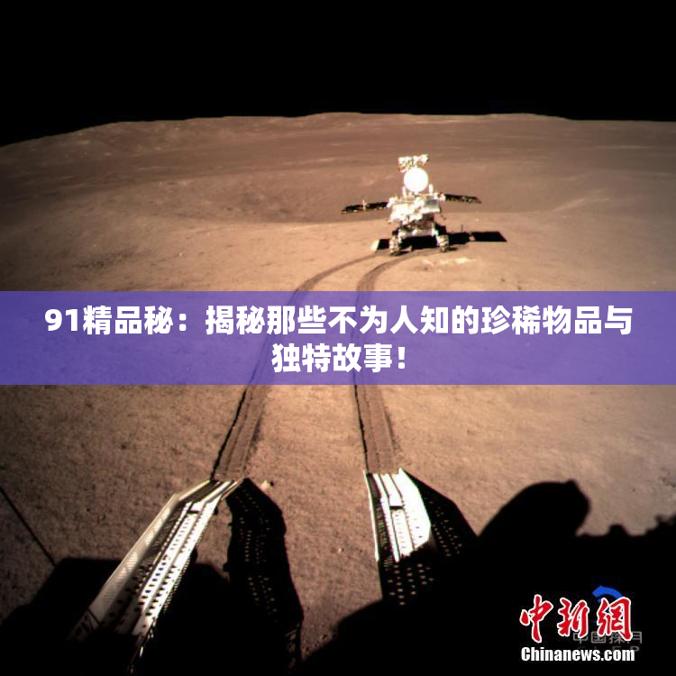 91精品秘：揭秘那些不为人知的珍稀物品与独特故事！