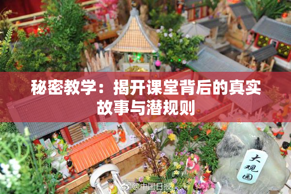 秘密教学：揭开课堂背后的真实故事与潜规则