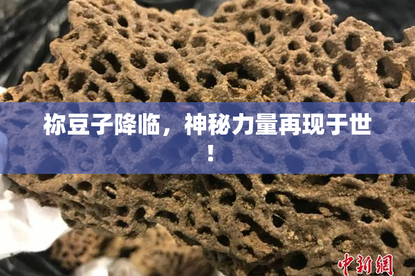祢豆子降临，神秘力量再现于世！