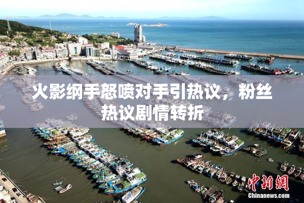火影纲手怒喷对手引热议，粉丝热议剧情转折