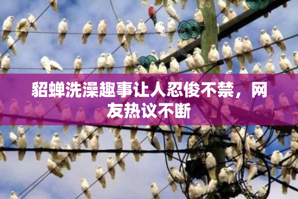 貂蝉洗澡趣事让人忍俊不禁，网友热议不断