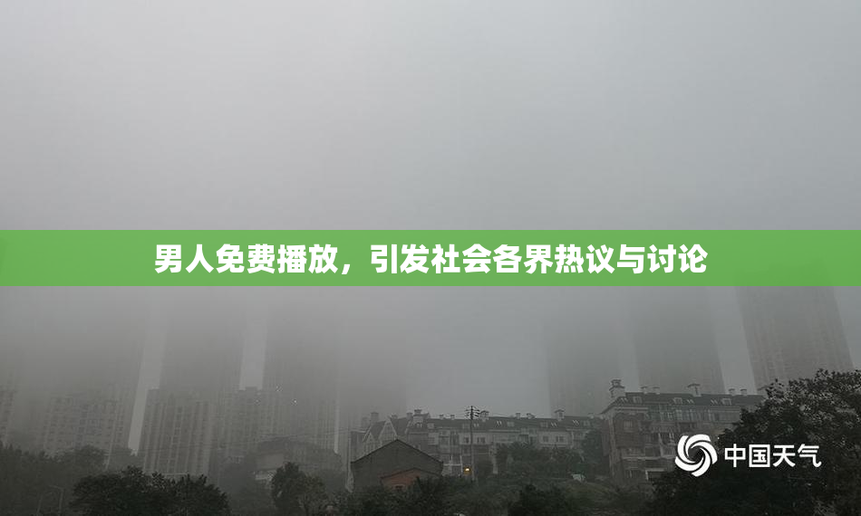 男人免费播放，引发社会各界热议与讨论