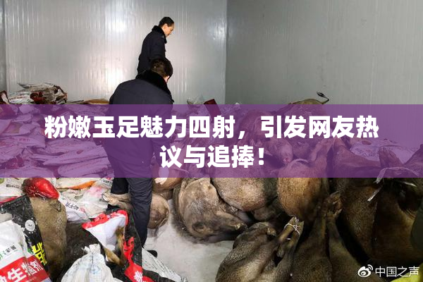 粉嫩玉足魅力四射，引发网友热议与追捧！