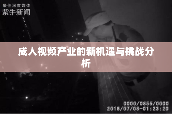 成人视频产业的新机遇与挑战分析