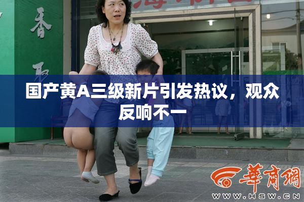 国产黄A三级新片引发热议，观众反响不一