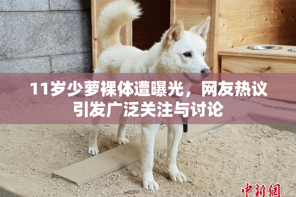 11岁少萝裸体遭曝光，网友热议引发广泛关注与讨论