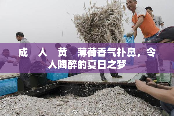 成　人　黄　薄荷香气扑鼻，令人陶醉的夏日之梦