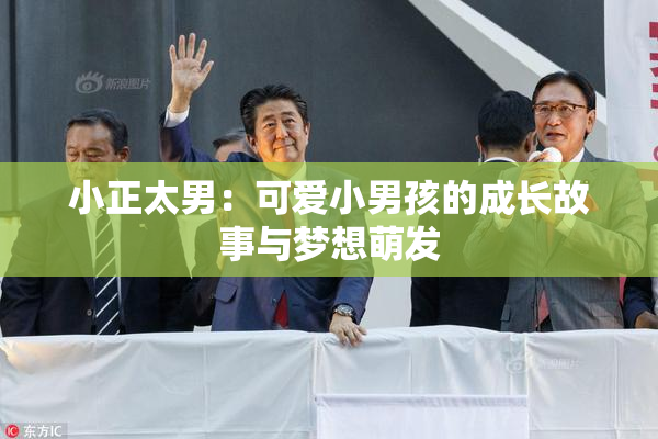 小正太男：可爱小男孩的成长故事与梦想萌发