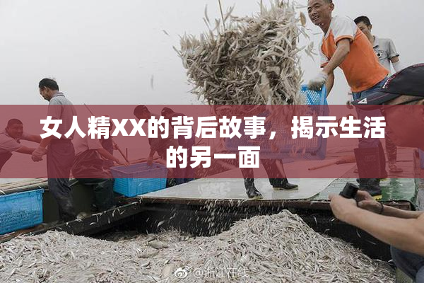 女人精XX的背后故事，揭示生活的另一面