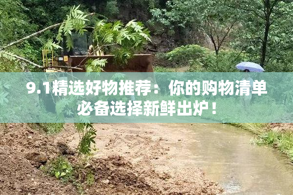 9.1精选好物推荐：你的购物清单必备选择新鲜出炉！