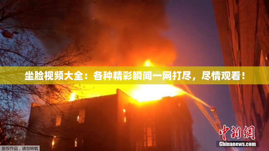 坐脸视频大全：各种精彩瞬间一网打尽，尽情观看！