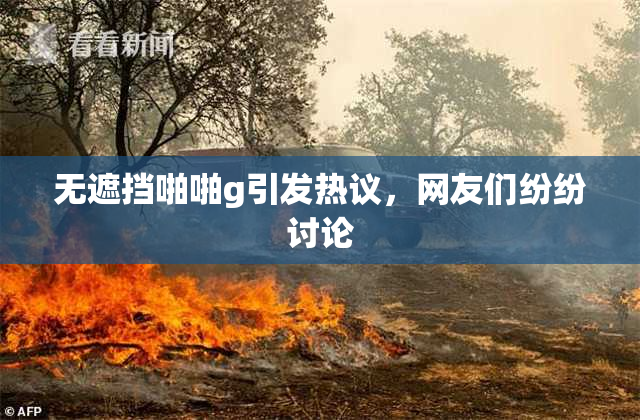 无遮挡啪啪g引发热议，网友们纷纷讨论