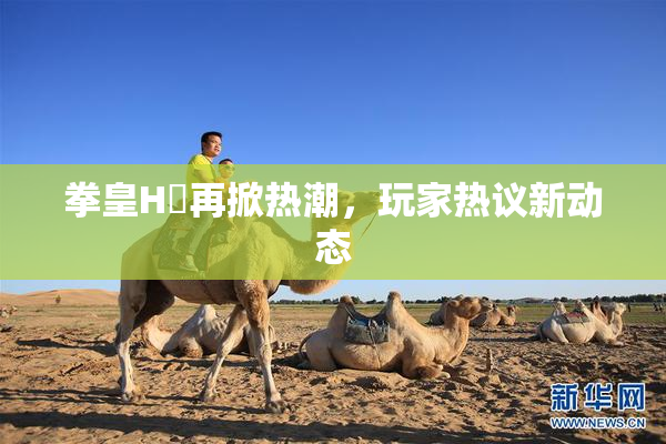 拳皇H婬再掀热潮，玩家热议新动态