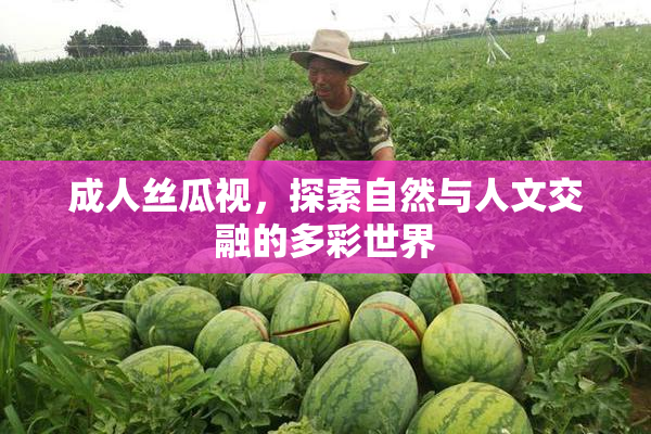 成人丝瓜视，探索自然与人文交融的多彩世界